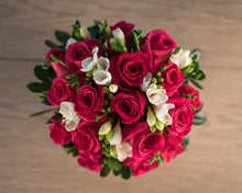 Load image into Gallery viewer, MD - DIANA