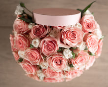 Load image into Gallery viewer, MD - PINK SORBET